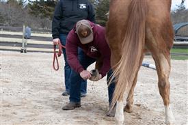 LR-WRF 0402026 Retreat-3155